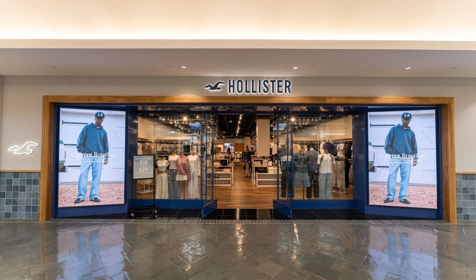 hollister amazon india