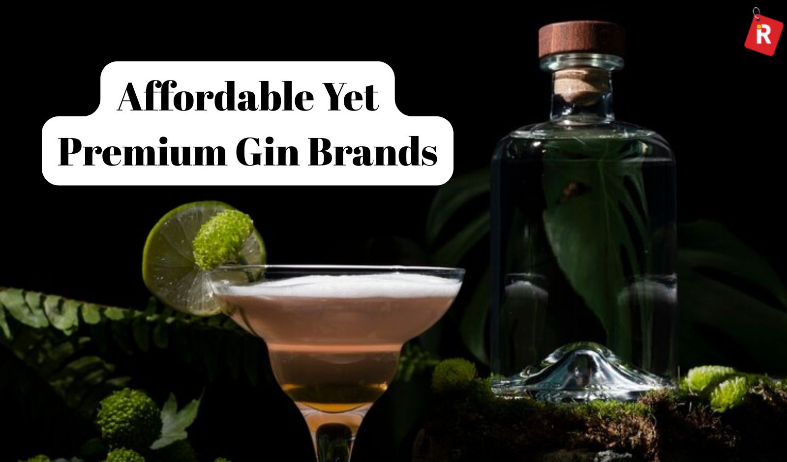Best Affordable Yet Premium Gin Brands in India (2025 List)