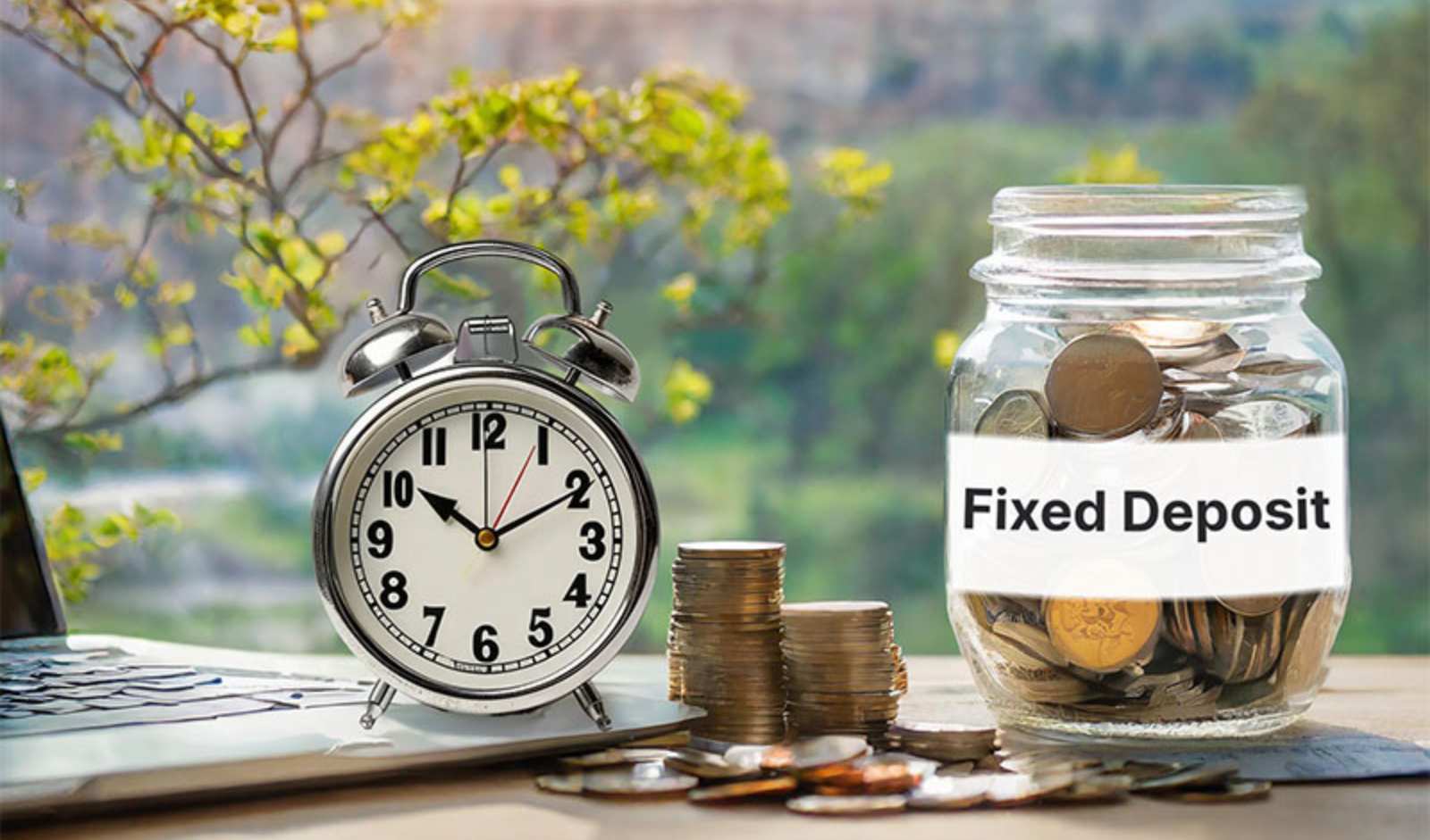 Which Types of Fixed Deposit Offer the Highest Interest Rate in 2025