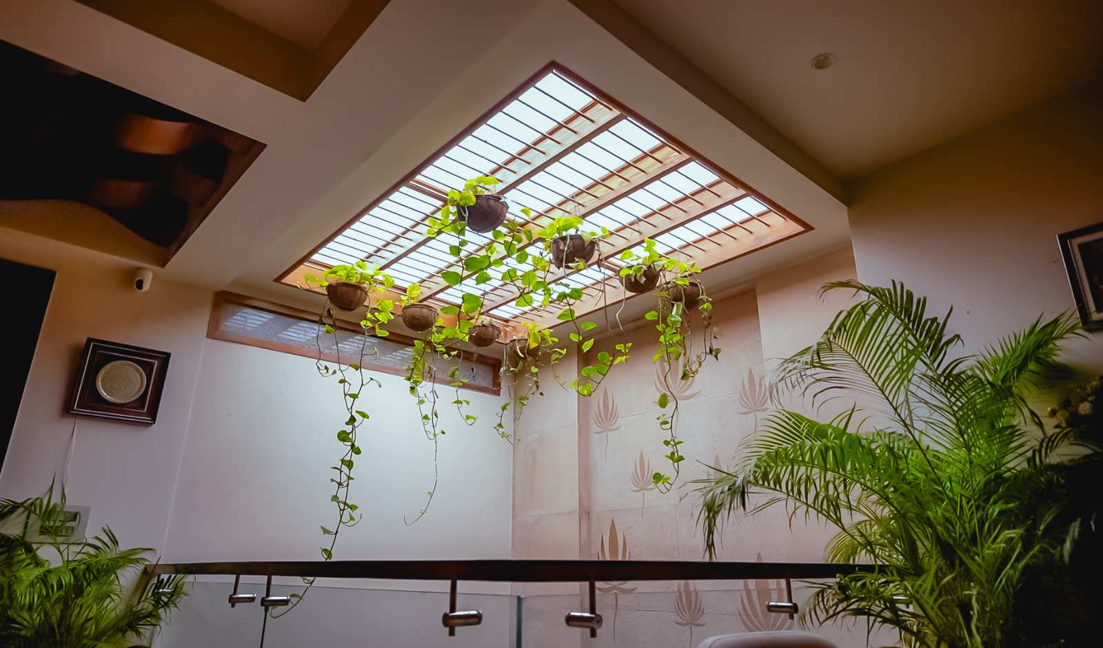 SUNROOOF Launches E-store for Wellness Lighting