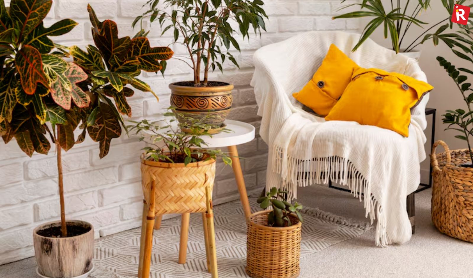 Top 5 Décor Brands Popular in India