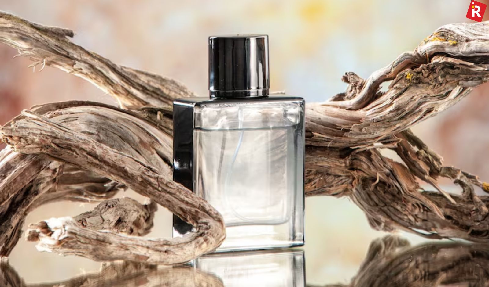 Top 5 Fresh-Scented Gift Ideas That Make Every Valentine’s Date More Memorable