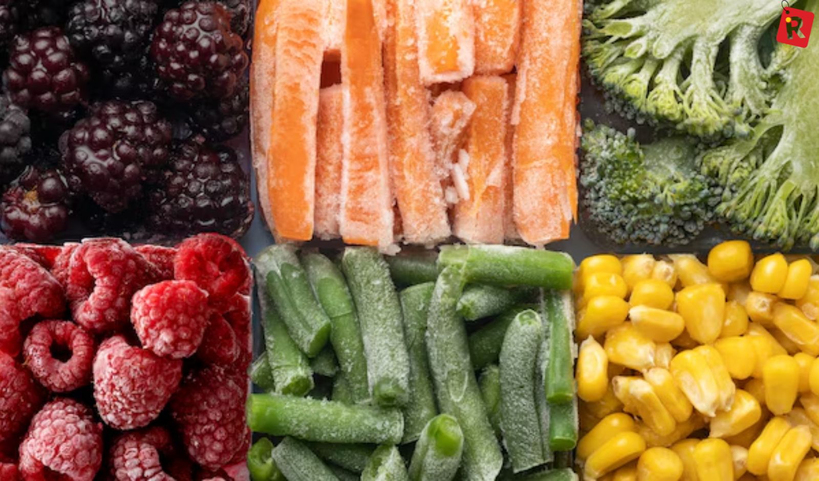 The Evolution of India’s Frozen Food Industry: Scale, Quality and Export Readiness