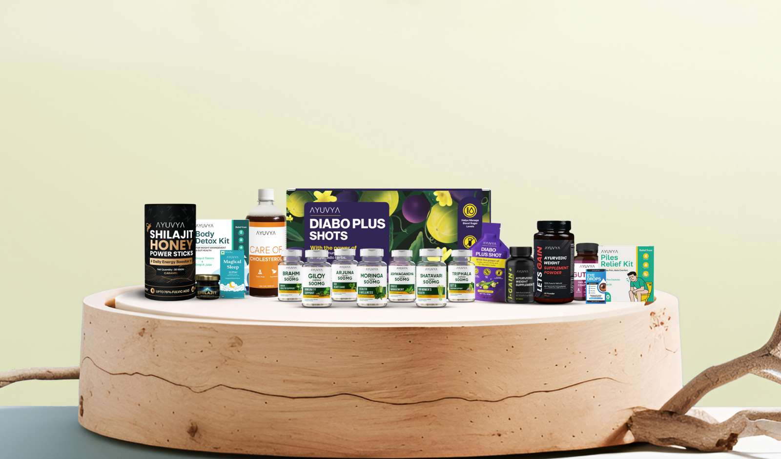 Retail India News: Ayuvya Scales Biz with Focus on Preventive Healthcare