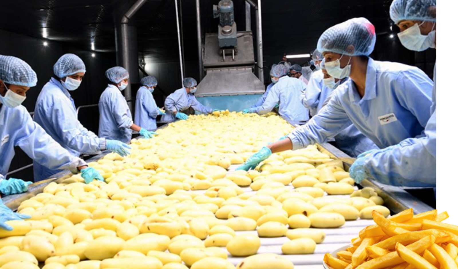 Retail India News: Advent International Buys Stake in Iscon Balaji Foods