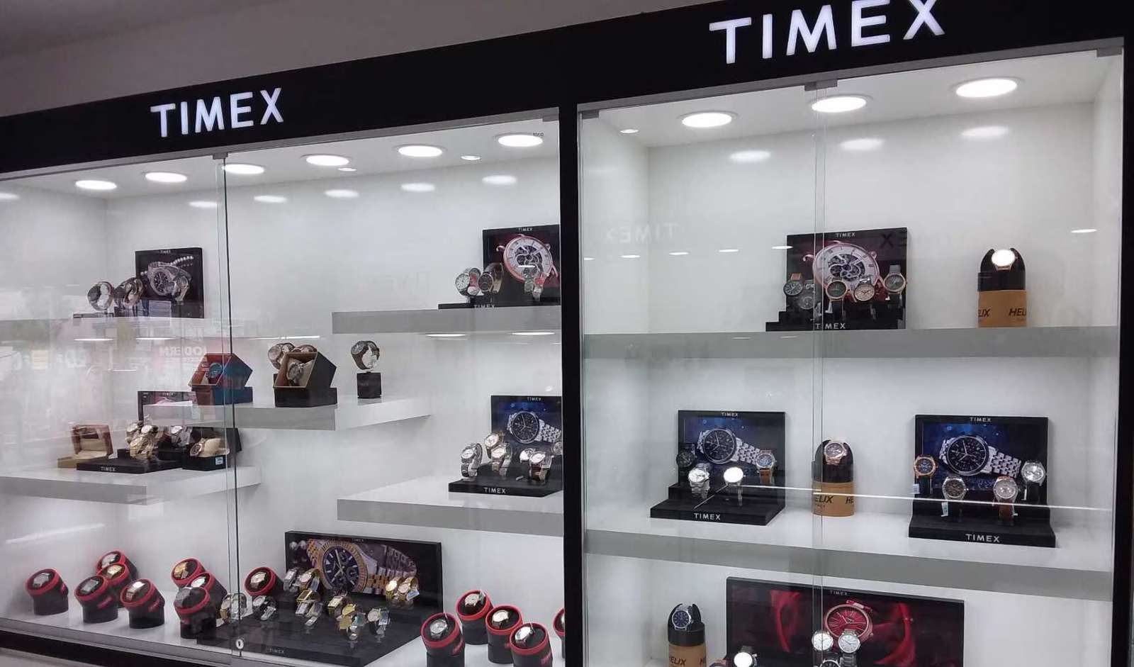 Timex Group India Crosses Rs 800 Cr Revenue in FY26 as Profit Jumps 151 Pc