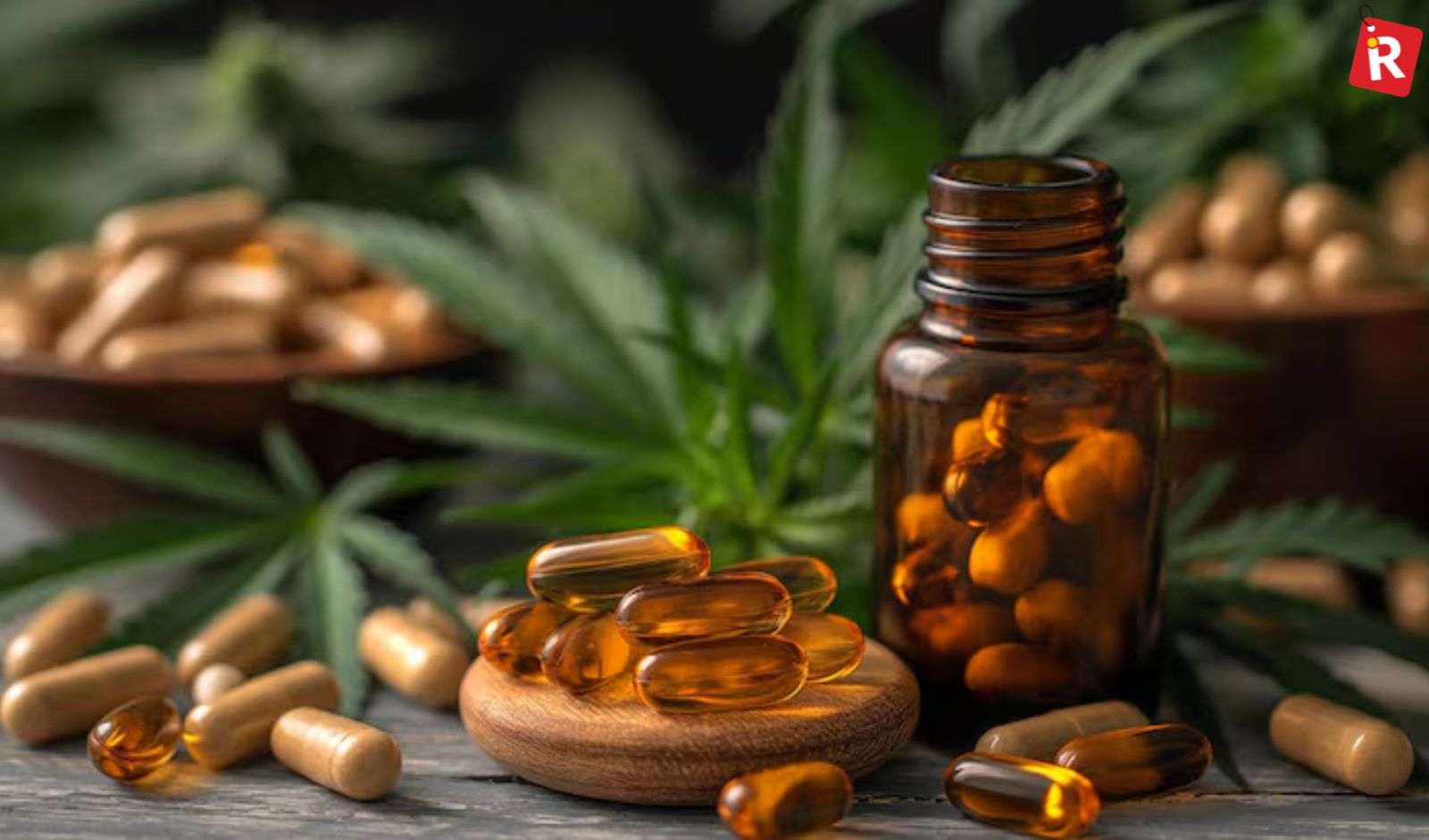 Top 5 Supplements That Help Improve Appetite and Digestion Naturally