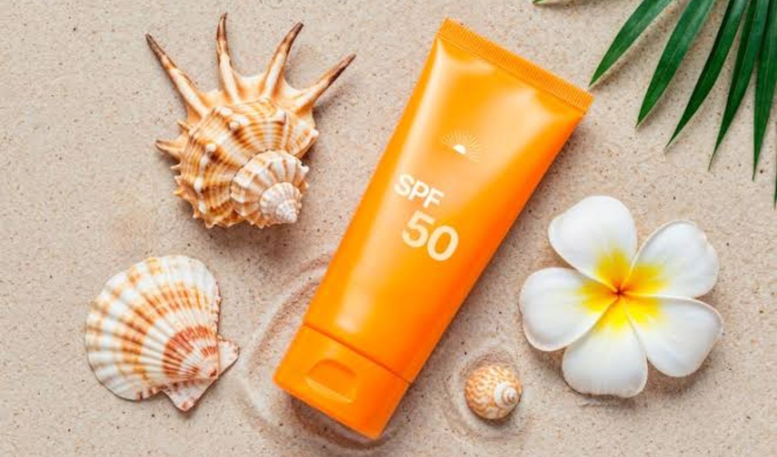 Best Sunscreens for Men and Women in India: Top SPF Picks for Daily Sun Protection