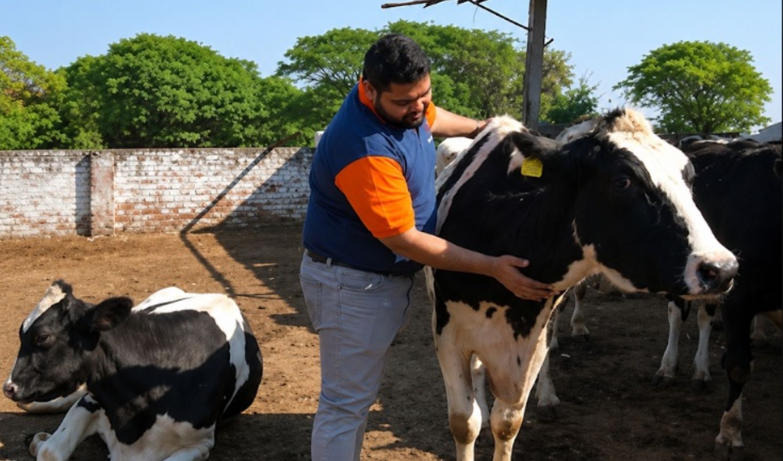 D2C Dairy Brand Doodhvale Farms Raises USD 1 Mn Funding