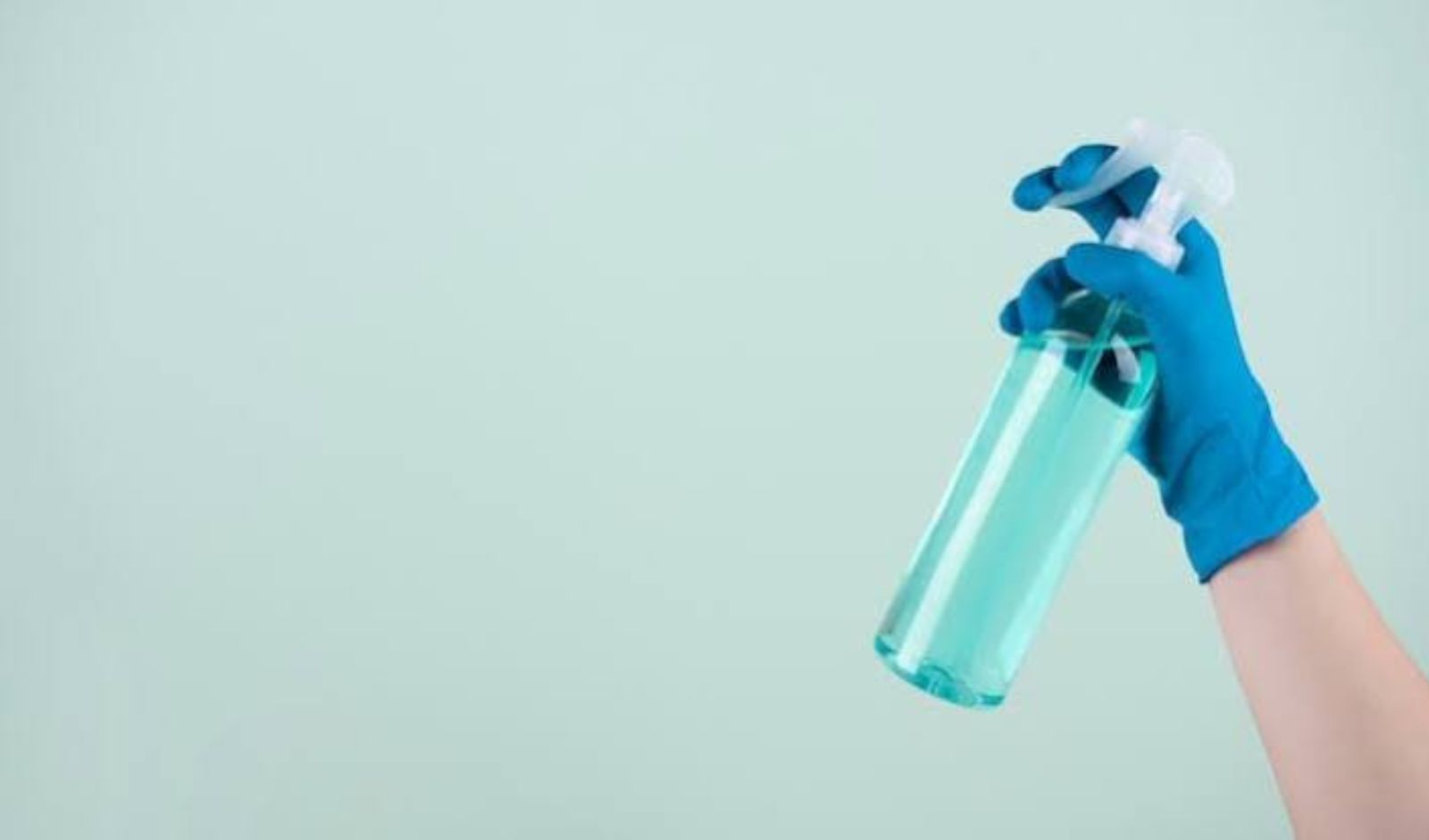 Best Toilet Sanitizer Spray Brands to Watch