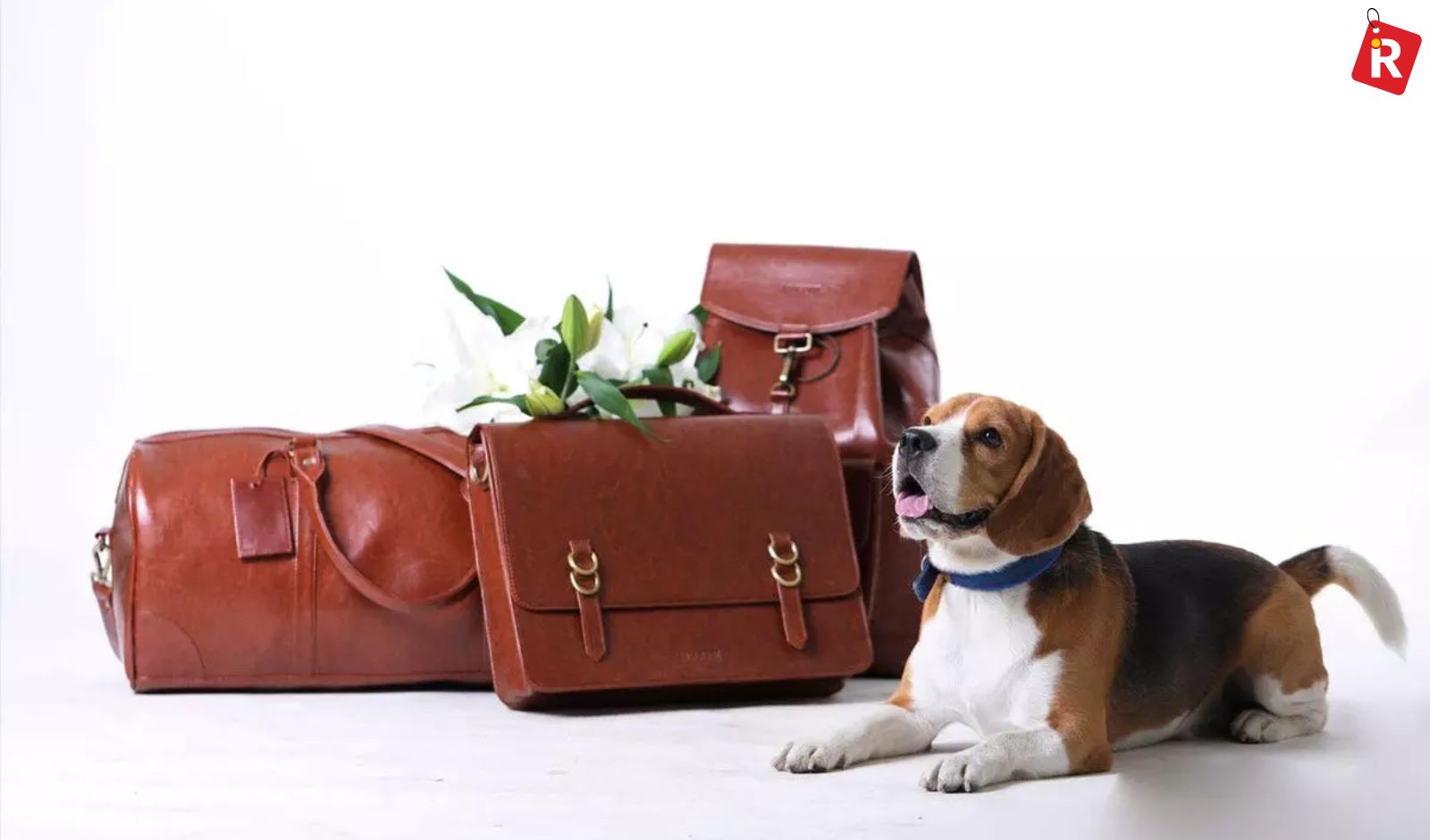 9. Aulive: Ethical Vegan Leather Goods for the Conscious Indian Consumer