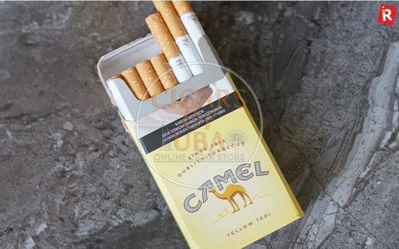Camel 