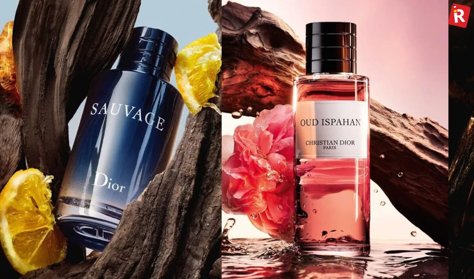 Dior best perfume brands