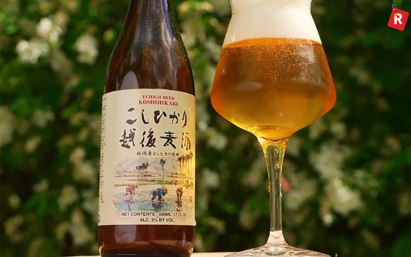 Echigo Koshihikari Rice Lager