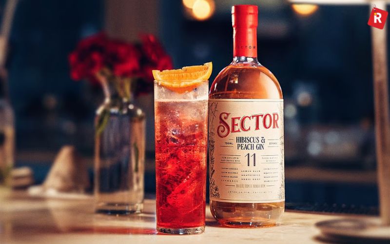Sector Gin – The New-Age Indian Flavoured Gin
