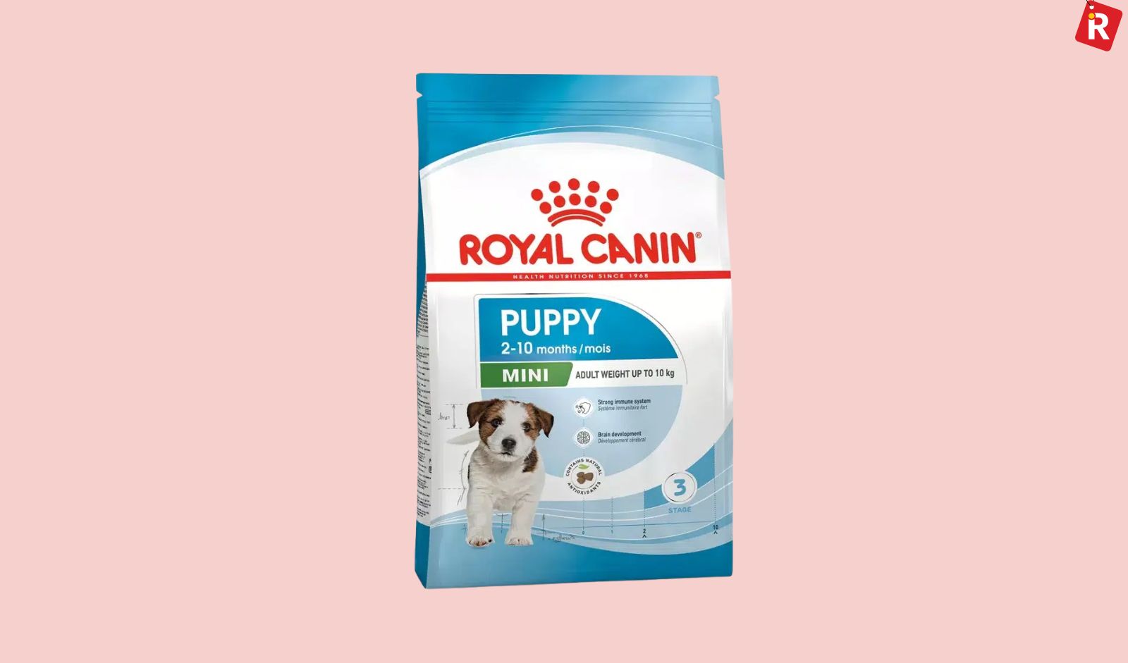 Top dog food brands trusted by Indian parents