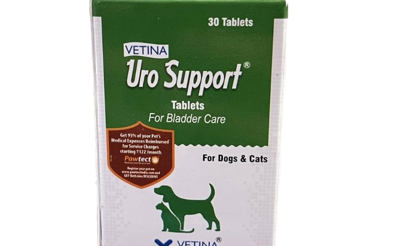 Top 10 Pet Care Brands In India