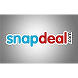 Snapdeal raises $100 million